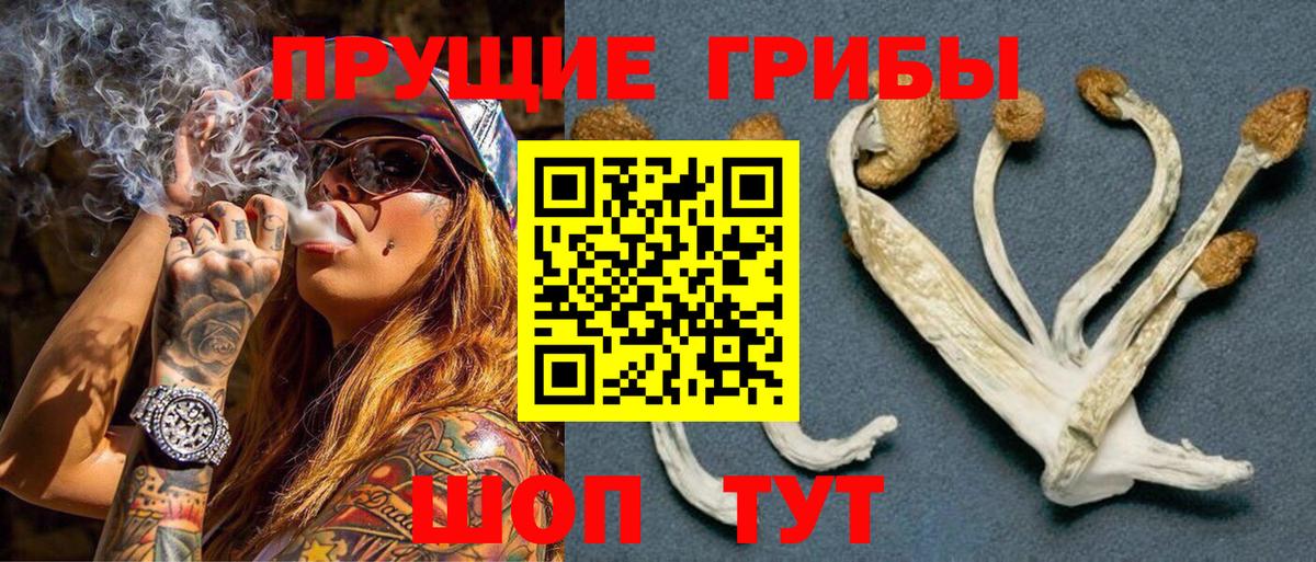 Псилоцибиновые грибы прущие грибы  купить наркоту  Ревда  Вход с VPN 